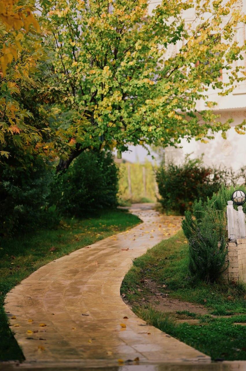 Stamped concrete walkway with natural stone pattern winding through landscaped yard